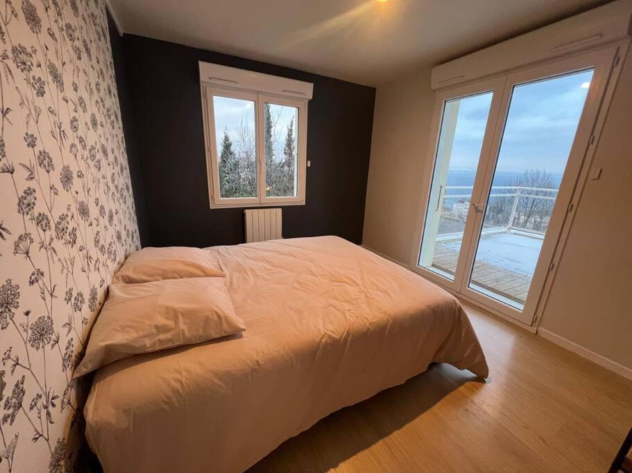 Leman Panoramique Avec Terrasse A Deux Pas Du Centre-Ville Évian-les-Bains Kültér fotó